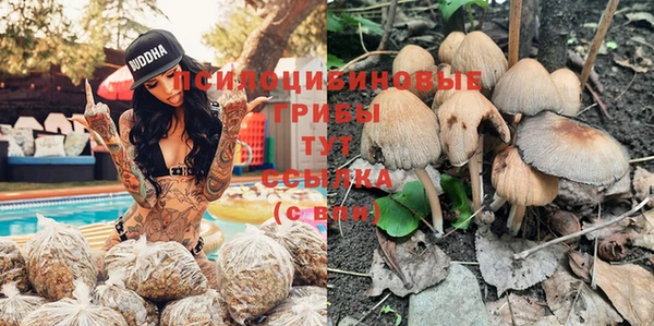 мяу мяу мука Балабаново
